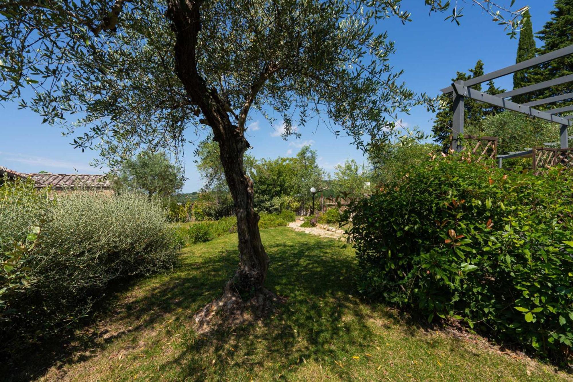 Casa Alta Appartement Greve in Chianti Buitenkant foto